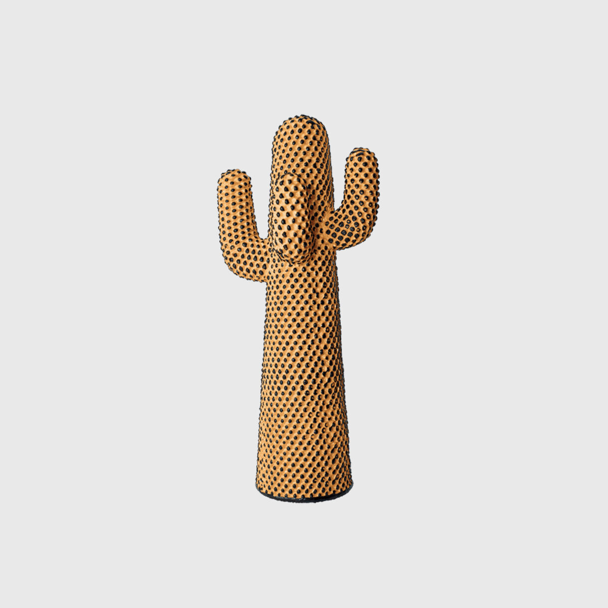 Andy's Cactus Orange