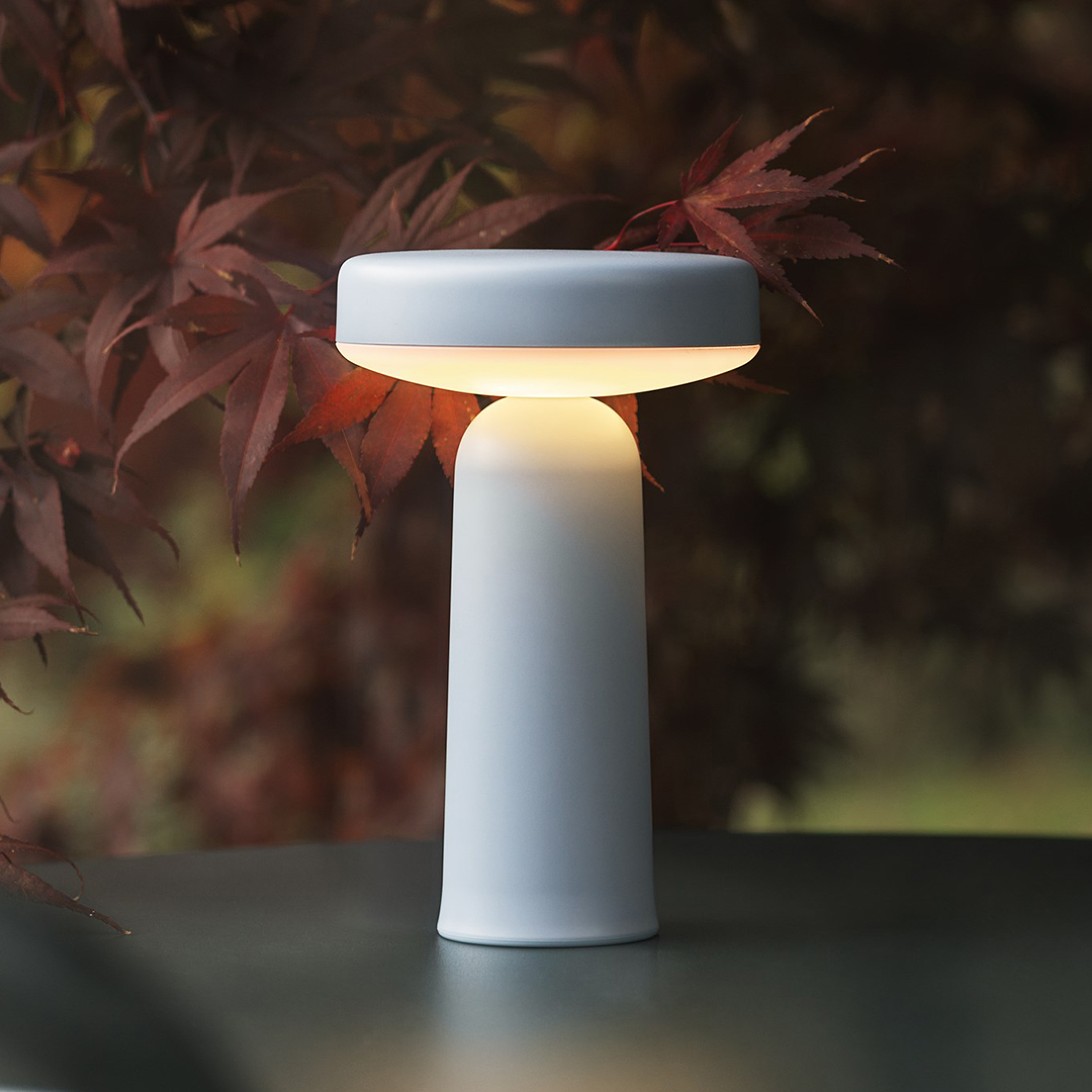Ease Portable Lamp