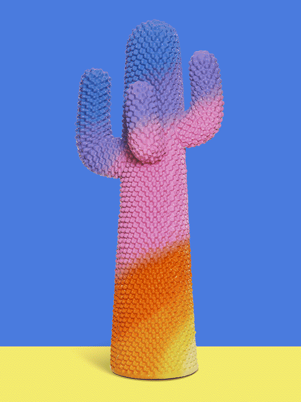 Sunrise Cactus