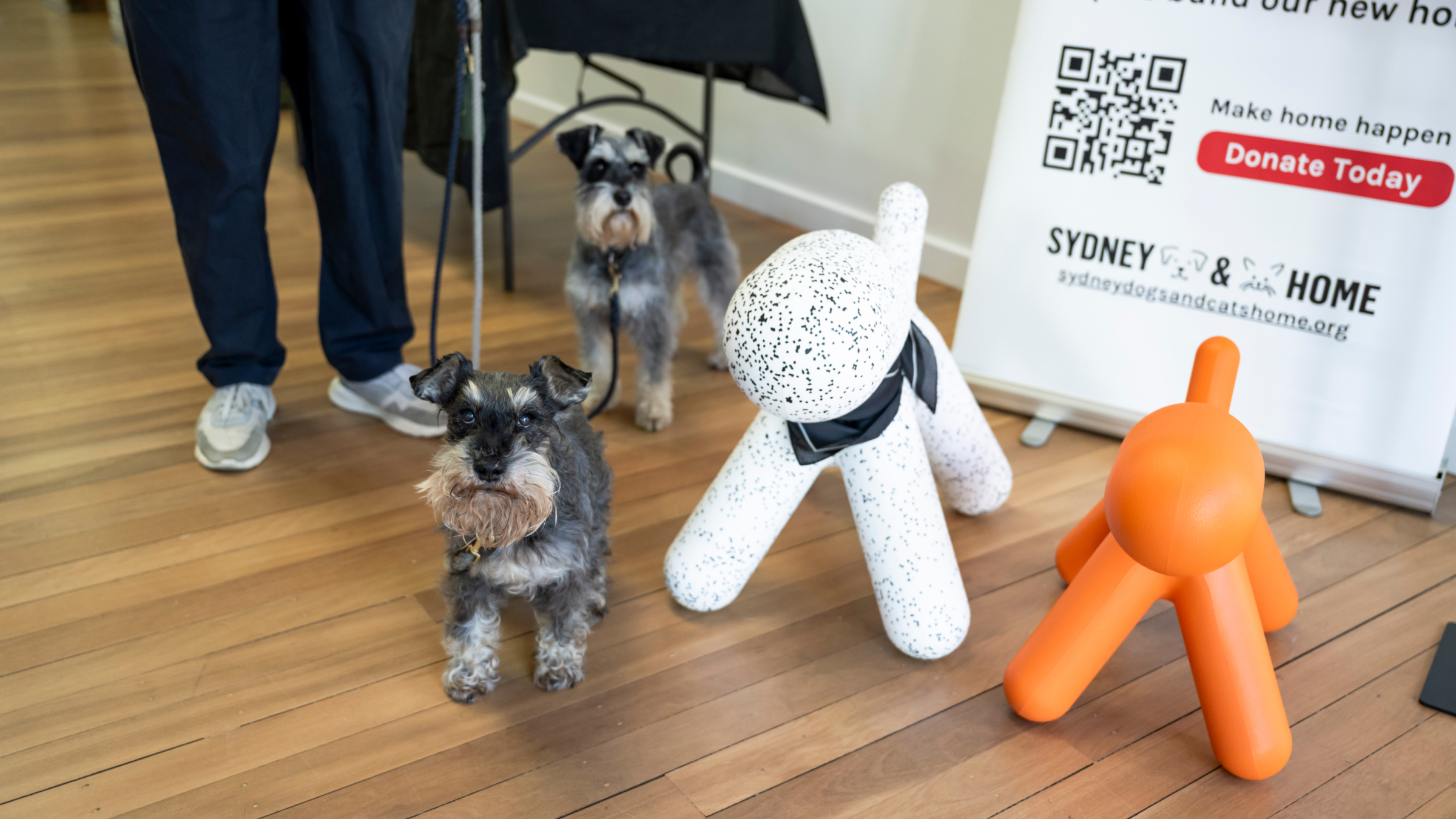 Magis Puppy Unleashed Potential design challenge