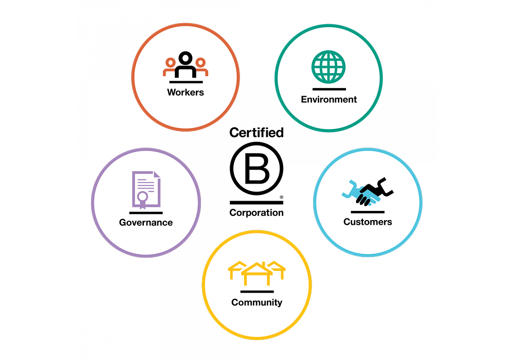 B Corp Key Factors