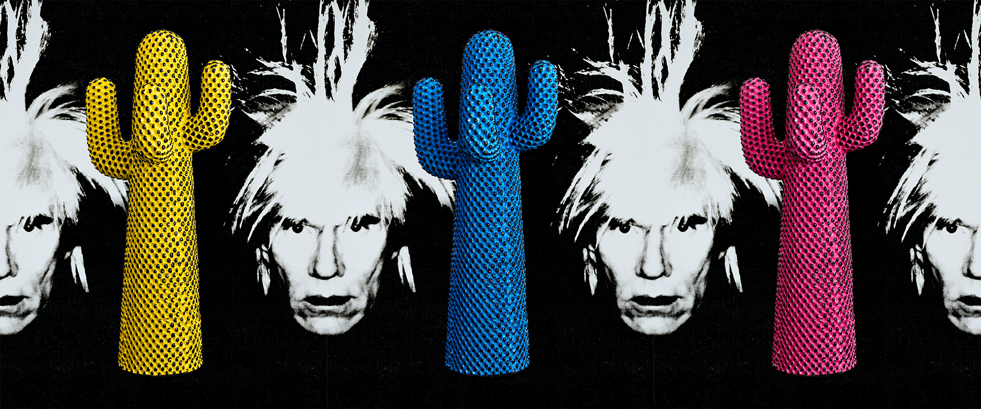 Andy's Cactus