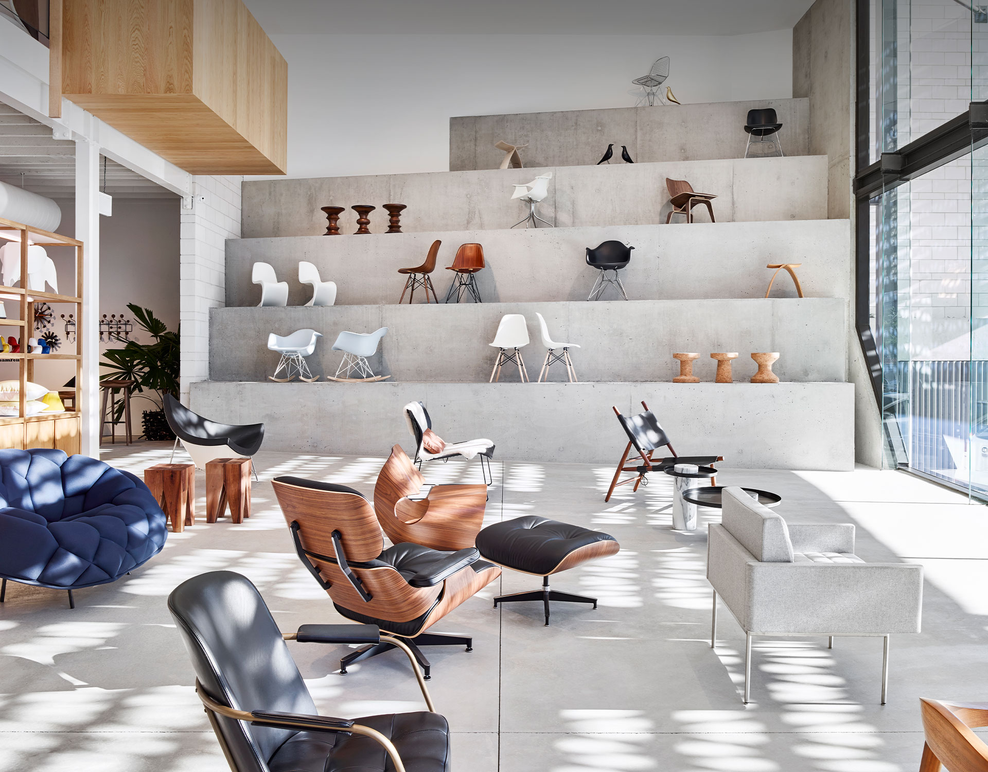 Living Edge Brisbane Showroom