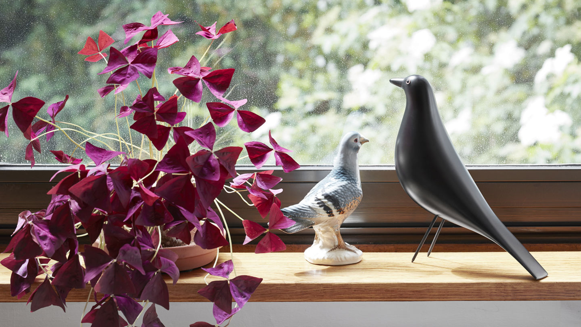 Eames House Bird