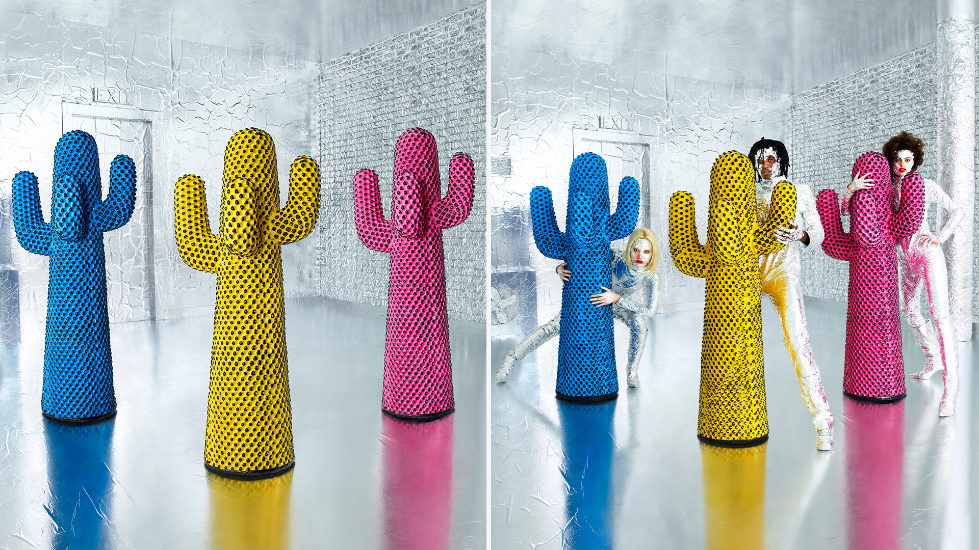 Andy's Cactus