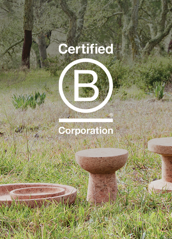 B Corp