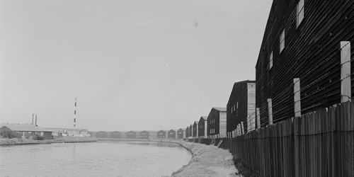 Woolsheds History