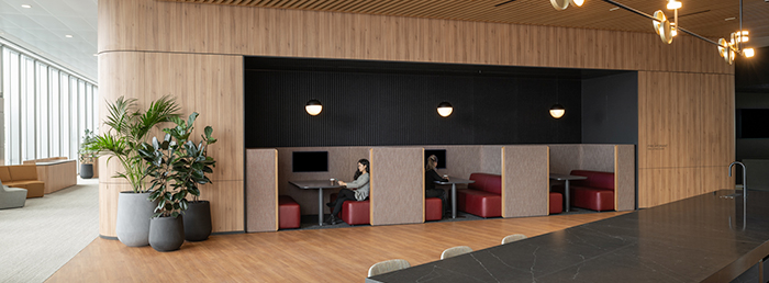Workplace Project