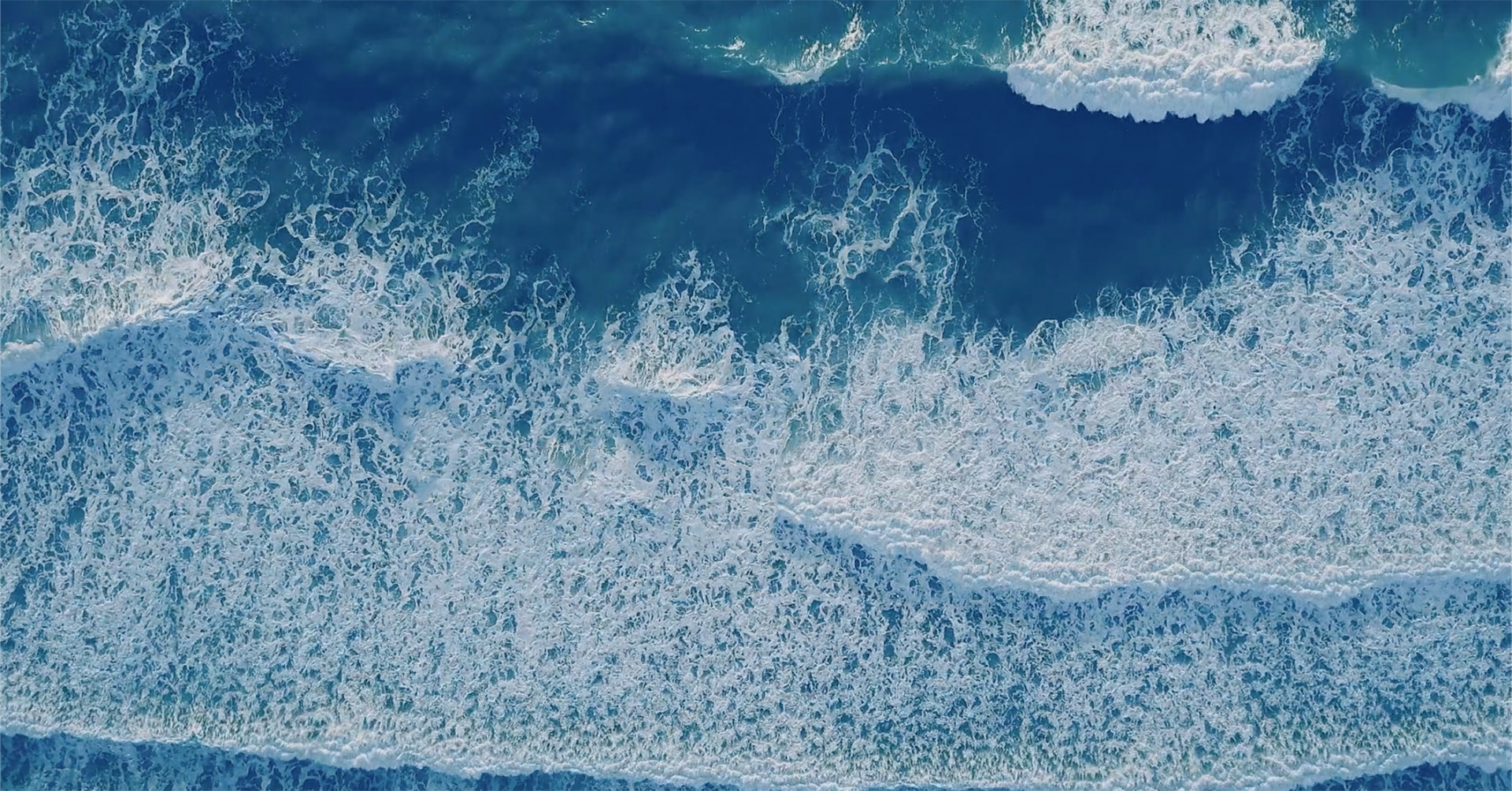 World Oceans Day
