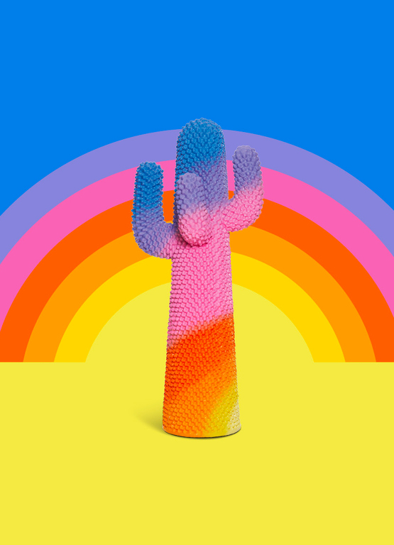 Sunrise Cactus